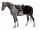 Back on Track Ausreitdecke Nierendecke Schrittdecke Supreme - schwarz