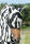 Bucas Fliegenmaske Zebra für die Buzz off Zebra Fliegendecke 155-165 XL
