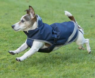 Bucas Freedom  Hundedecke Hundemantel Winterdecke 300g