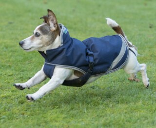 Bucas Freedom Hundedecke Hundemantel Regendecke 50g 75 cm