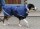 Bucas Freedom Hundedecke Hundemantel Regendecke 50g 75 cm