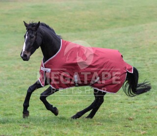 Bucas Freedom Winterdecke Regendecke Medium 150g Navy 145 cm