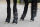 Bucas 3/4 Boots Cob