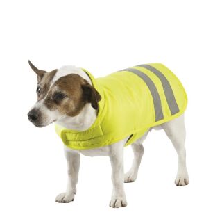 EQUI-THÈME „Reflektor“ Hundedecke