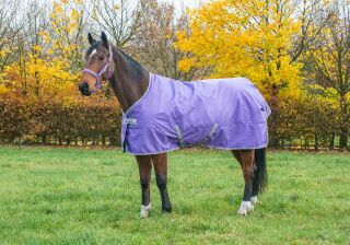 Bucas Freedom Light Regendecke