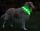 LED-Hundehalsband "cash" M