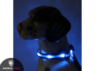 LED-Hundehalsband "cash" M blau