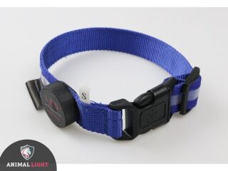 LED-Hundehalsband "cash" M blau
