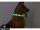 LED-Hundehalsband "cash" M grün