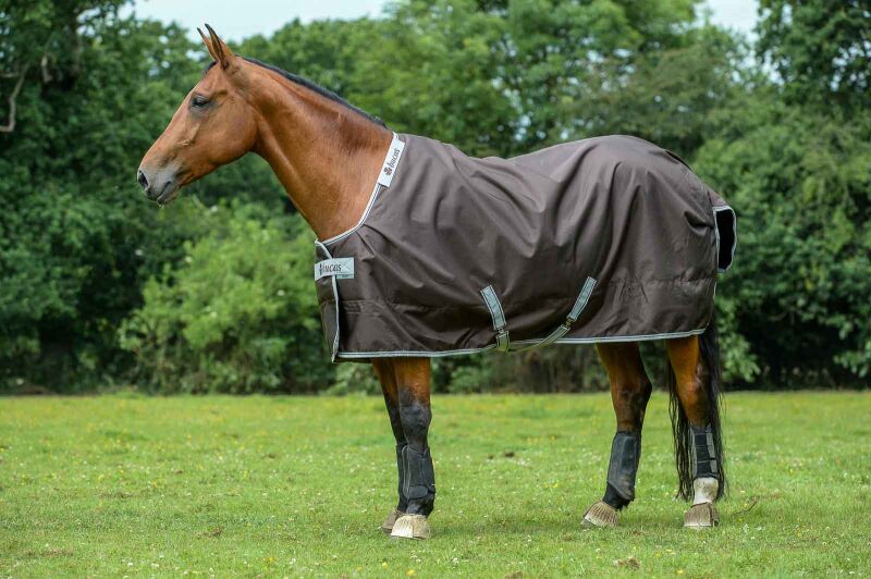 Bucas Smartex Extra Regendecke Winterdecke braun 155 cm Willkommen