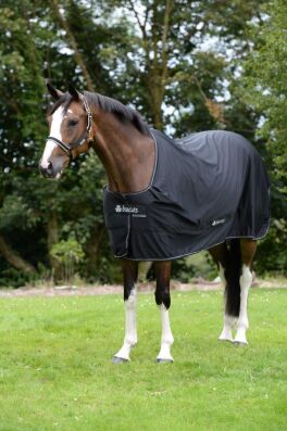 Bucas Shamrock Power Abschwitzdecke