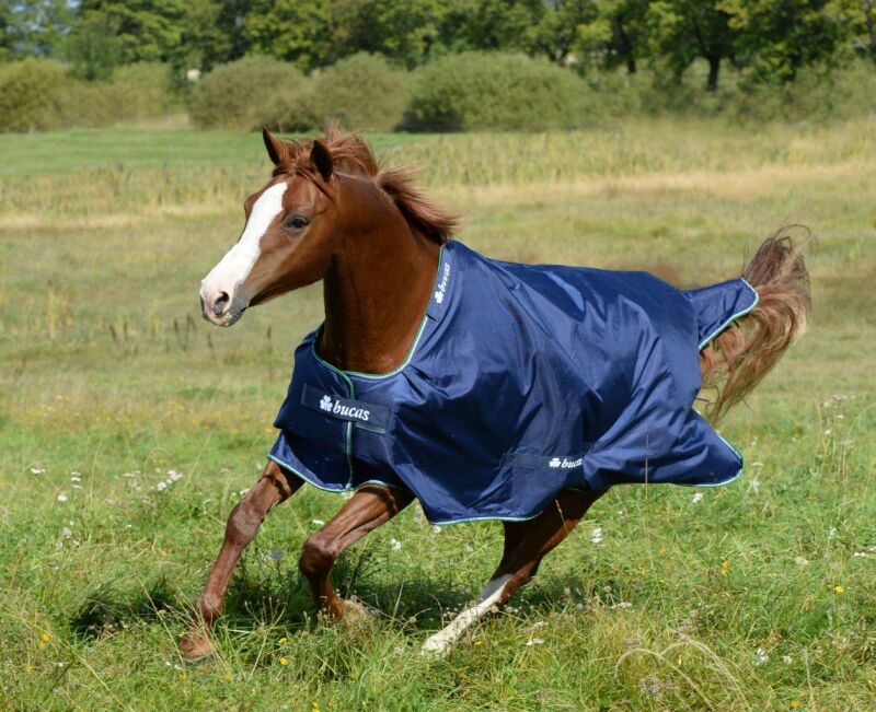 Bucas Smartex Rain Regendecke Willkommen beim Pfe