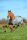 Bucas Smartex Turnout Rain Regendecke