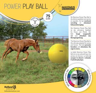MAXIMUS Power Play Ball 75 cm