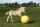 MAXIMUS Power Play Ball 75 cm