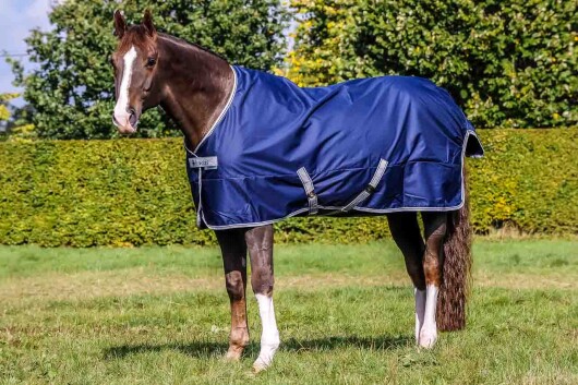 Bucas Freedom Light Blau/Silber 130 cm