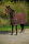 EQUI THÈME Baumwolldecke
