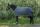 EQUI THÈME Softshell Decke