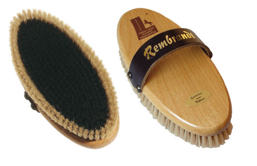 Leistner Bürste Kardätsche Rembrandt Pferdebürste Pferdekardätsche Rosshaar
