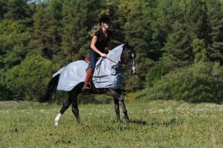 Bucas Buzz-off Riding, Fliegenausreitdecke, Silber-blau,...