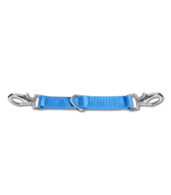 Longierbrille