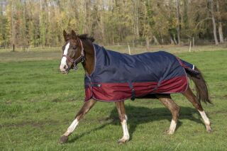 EQUITHÈME  TYREX 1200 D, High Neck ohne Polyfill