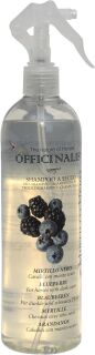 OFFICINALIS® Trockenshampoo „Blaubeeren“...