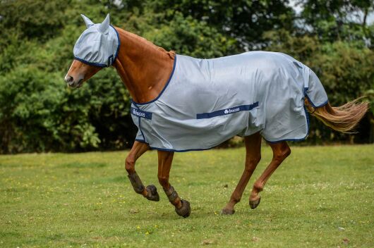 Bucas Buzz-off  Classic Fliegendecke Ekzemerdecke - 155 cm