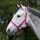 Foal Halter Dublin Berry/Silver