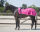 QHP Ausreitdecke Fleece Color L=135cm-145cm Fuchsia
