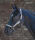 Reflex Halfter Stripe, Silbergrau