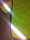 Weidedecke Regendecke Reflex mit Fleece 125 cm