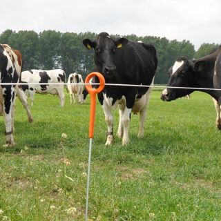 Gallagher Ring-Top Pfahl - 1,00m (10)
