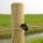 Gallagher Ringisolator Standard (250)