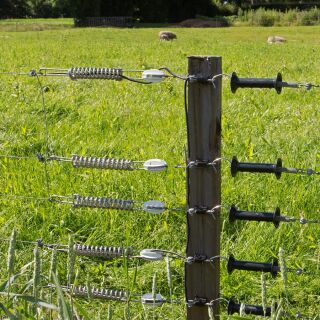 Gallagher Zugisolator S Verstärkt weiß (100)