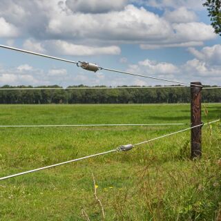 Gallagher Stahlspannfeder für 2,5mm/2,65mm Draht/EquiFence (1)