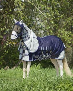 Falabella fliegendecke