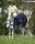 Falabella fliegendecke