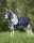 Falabella fliegendecke