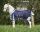 Falabella fliegendecke
