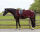 Fleece-Ausreitdecke mit Ornament