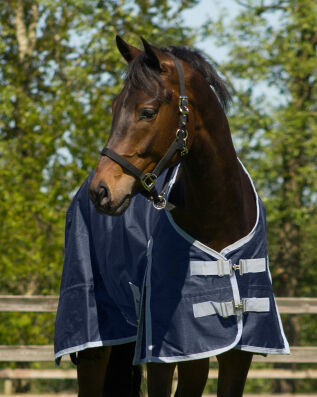 Regendecke Turnout 600 200gr