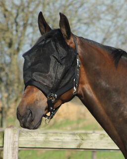 Halfter-fliegenmaske combi Schwarz Pony