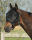Halfter-fliegenmaske combi Schwarz Pony
