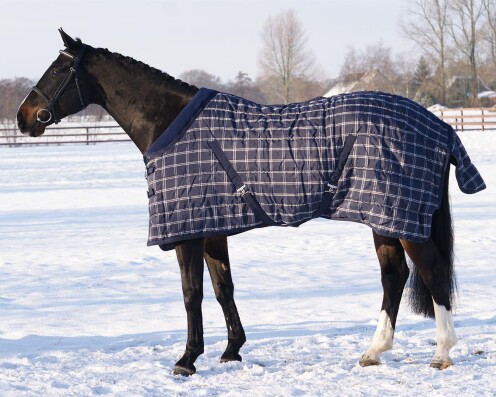 Stalldecke luxus 300gr Blau Check 145/105cm