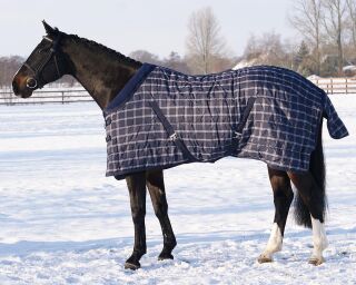 Stalldecke luxus 300gr Blau Check 145/105cm