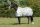 Bucas Power Turnout Extra High Neck Regendecke Winterdecke