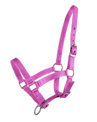 Fohlen Halfter Rosa 02