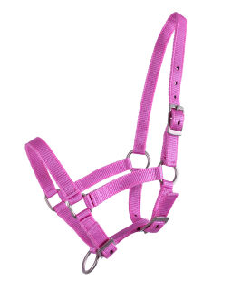 Fohlen Halfter Rosa 02