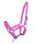 Fohlen Halfter Rosa 02
